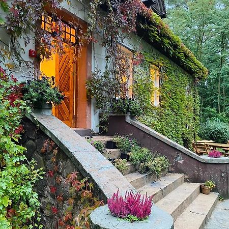 Zamkowa 4 Hotel Любневице Екстериор снимка